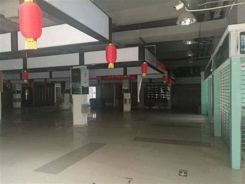 河源市厂房安全检测鉴定机构 创新技术指导助力企业安全生产，筑牢工业发展基石